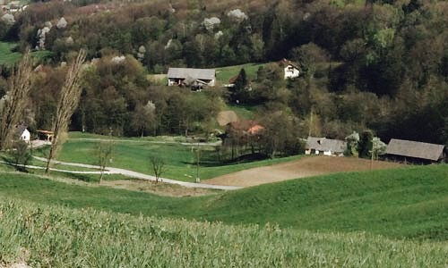 Green Pastures